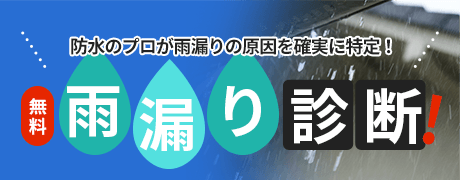 雨漏り診断