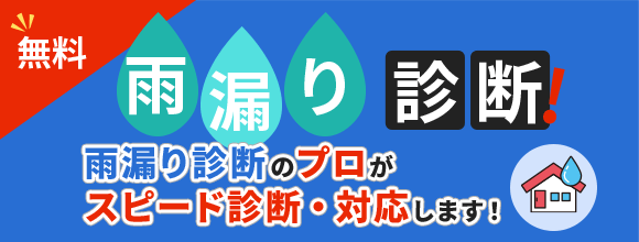 雨漏り診断