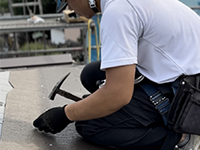 募集職種